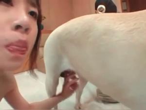 Asian woman and her dog: a video of extreme zoophilia