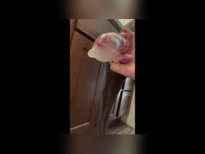 Sex with dog: hard and extreme videos