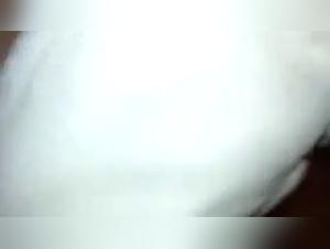 Forbidden Desires: Zoophilia & Kinkcafe