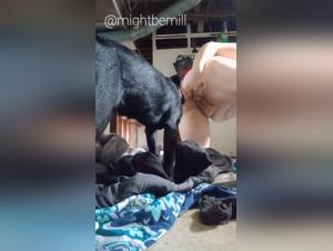 Forbidden Zooville Desires