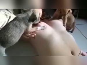 Woman giving milk to a dog in a zoophilia scene