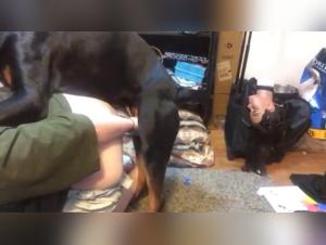 mujer filma perro accion