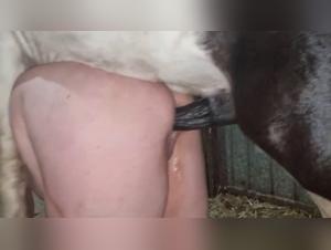 Asian Pussy Eater with Dog and Jealous Wife