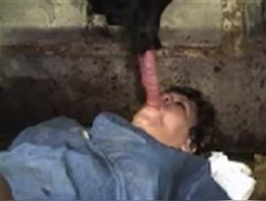 bestialitytaboo dog deepthroat