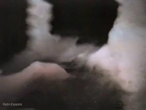 Shock video: Woman and dog