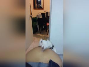 An Intimate Encounter with my Dog