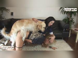 AOZ - Pippa - Hotshot: Eine verbotene und aufregende Begegnung