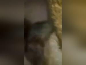 Forbidden Meeting: Woman and Dog