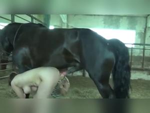 Horses and Women Compilation