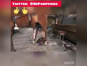 3D Animation - Horses