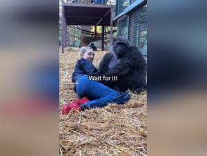 Doggy Sex: The Hottest Porn Clips Featuring Canine Action