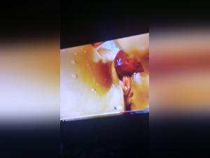 My moments of pleasure with animals