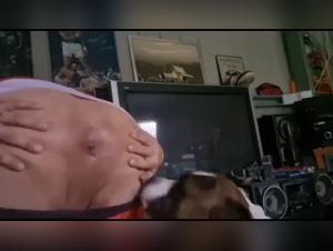 Dog sex video