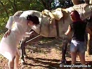 Kinkcafe & Animal Boundaries