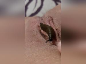 Dog Dominates Woman: Extreme Sex Video