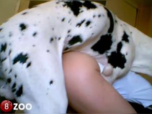 Sex Video with a Dog: An Intense and Exciting Experience