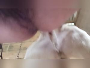 Dog Sex Videos for Zoophilia Lovers