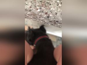 Sex with a dog: a bestial and intense experience