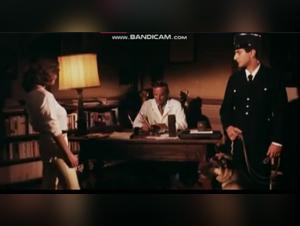 Bestiality sex video with dog