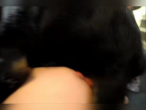 Delving into Dogtube's Dark Realm