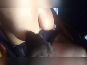 Intimacy with a Four-Legged Friend: An Exciting Experience