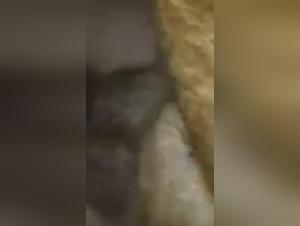 Primal Desires: She-Devil and Canine in Extreme Bliss