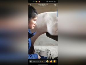 woman and dog bestial