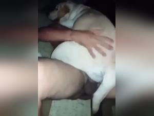 The Ultimate Sex Experience: Man and Dog Encounter
