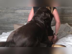 Veronica Silesto's Feline Sex Adventure