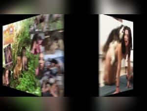 Simulation of sex with dogs: hard and extreme videos