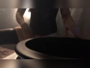 Encanto y complicidad con un amigo de cuatro patas