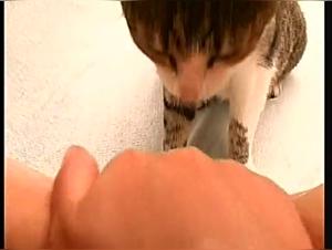 Sensual encounter between a woman and her cat