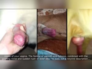 Bestiality Guide: How to Have Sex with Dogs