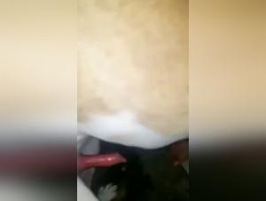 Bestiality: A Man and His Dog