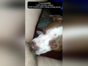 Woman and Dog: A Forbidden Meeting