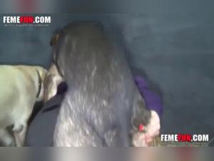 A woman and her two dogs in a beastly video