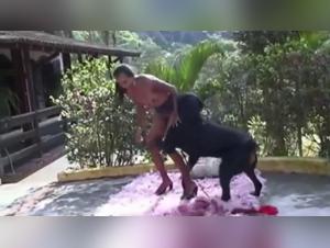 Hard Pounding Dog Sex Compilation (edit) - An extreme bestiality sex experience