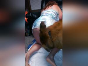Bestiality sex with our female dog hotwife
