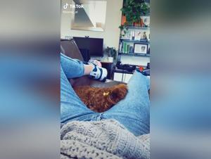 Hardcore-Bestialitat-Video: Eine extreme sexuelle Erfahrung