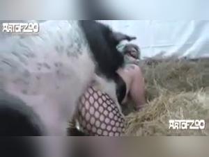 German Submissive and her Dog - Zoophilia Video