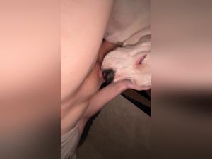 forbidden attractions unveiled