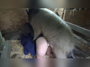 Leather Fetishist and his Canine Companion