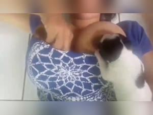 Shocking zoophilia video: a woman and a dog