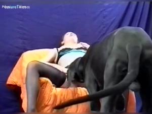 Classic woman and her dog in bestiality video