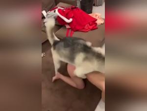 Submissive Asian woman and her dog: a shocking bestiality video