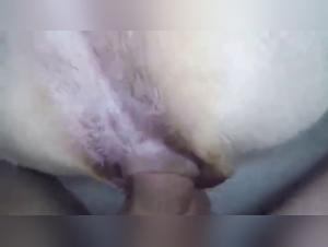 Bestiality: An Extreme Encounter With a Dog