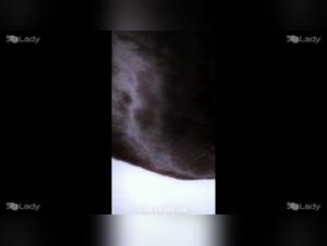 Cat's Wild Ride with Her Dog - Lesbian Bestiality