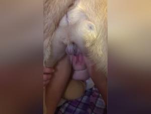 Bestiality: a woman and her dog