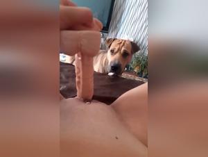 Sex with dogs: hardcore bestiality videos