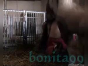 Bestiality: A Forbidden Encounter